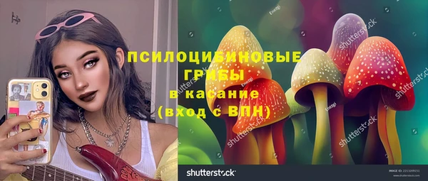 соль ск Абдулино