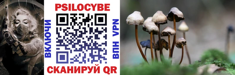 площадка состав  Новоалександровск  Галлюциногенные грибы GOLDEN TEACHER 