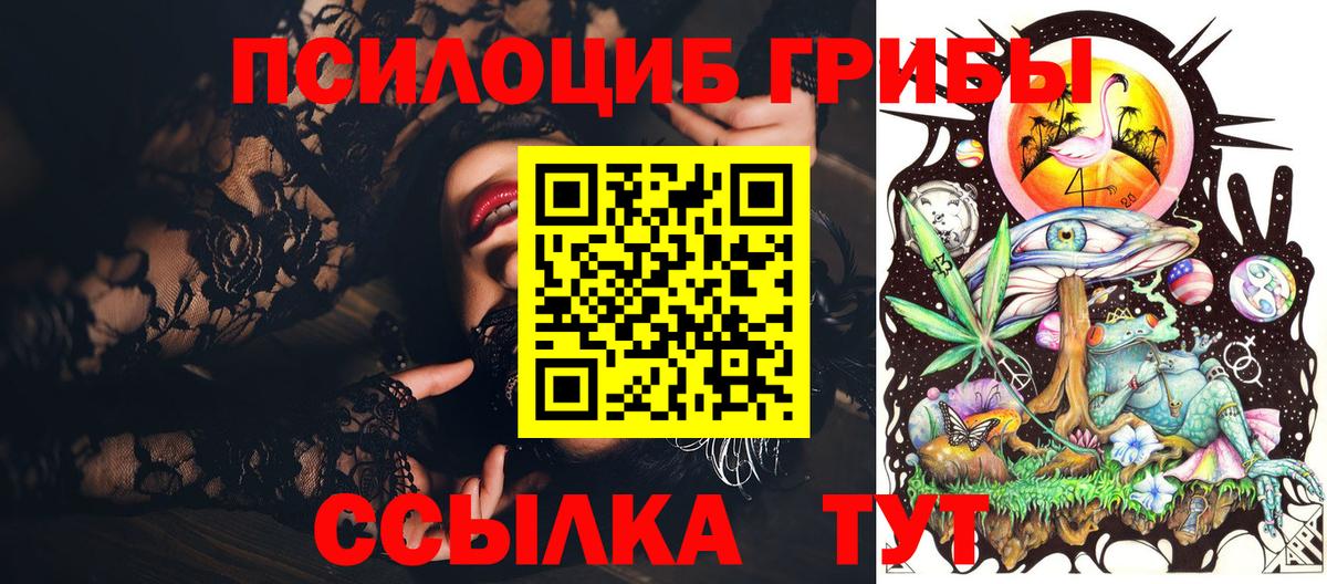 Псилоцибиновые грибы Psilocybine cubensis  Вход с VPN  Новоалександровск 