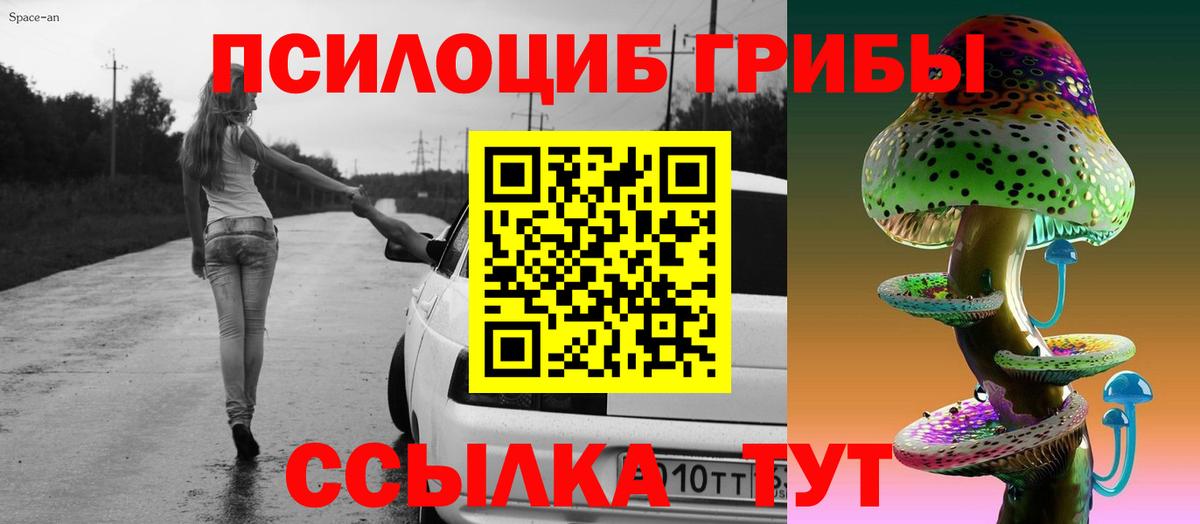 Псилоцибиновые грибы Psilocybe Новоалександровск